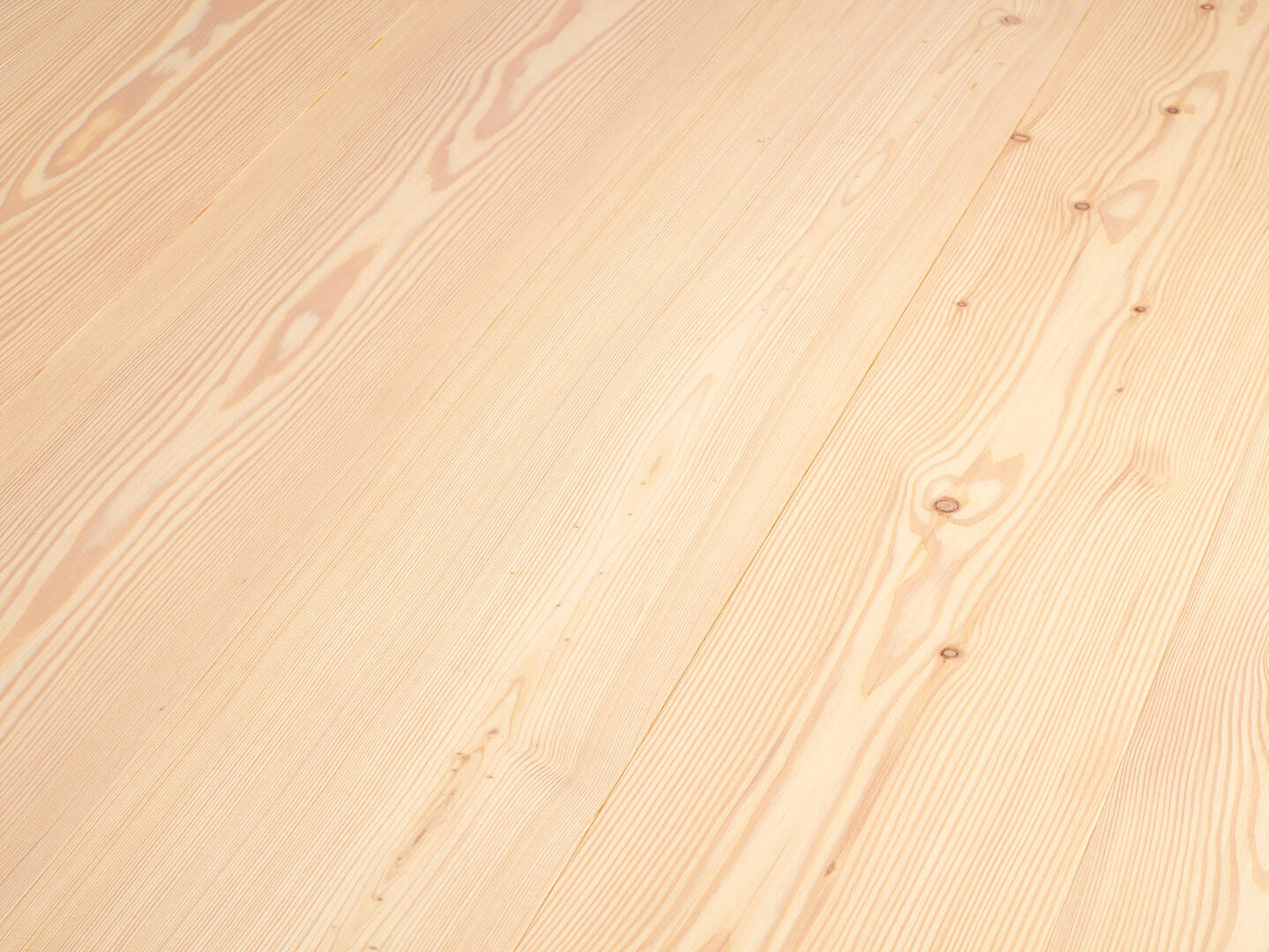 06.103_Laerche kanadisch_weiss_geoelt.jpg